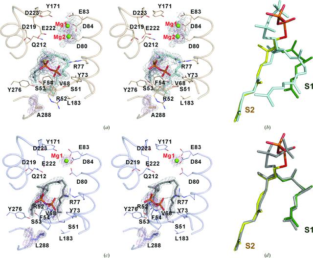 [Figure 5]