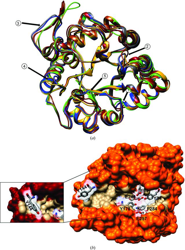 [Figure 4]