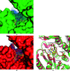 [Figure 2]