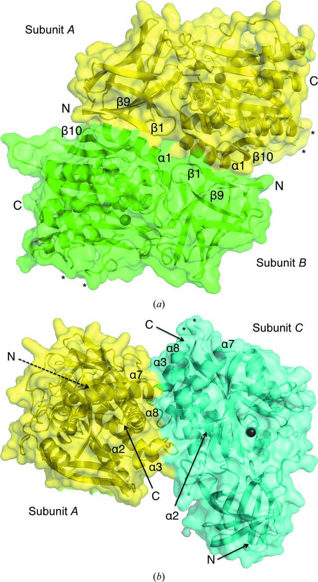 [Figure 4]