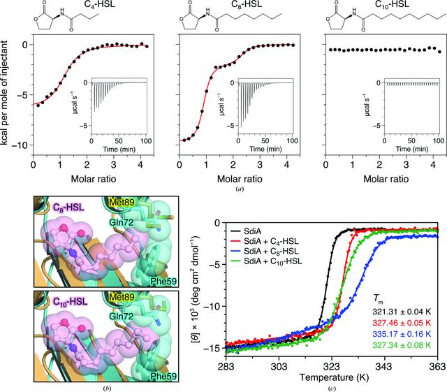(IUCr) Structural insights into the molecular mechanism of Escherichia ...