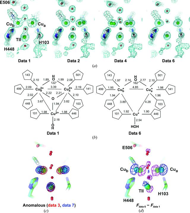 [Figure 1]