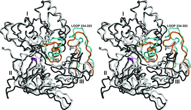 [Figure 6]