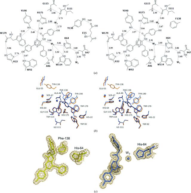 [Figure 4]