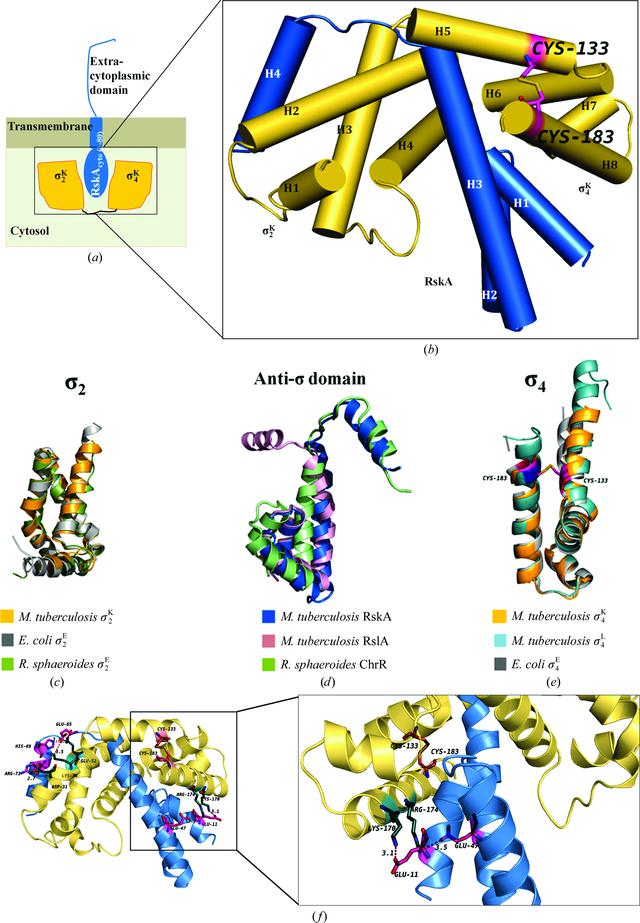 [Figure 1]