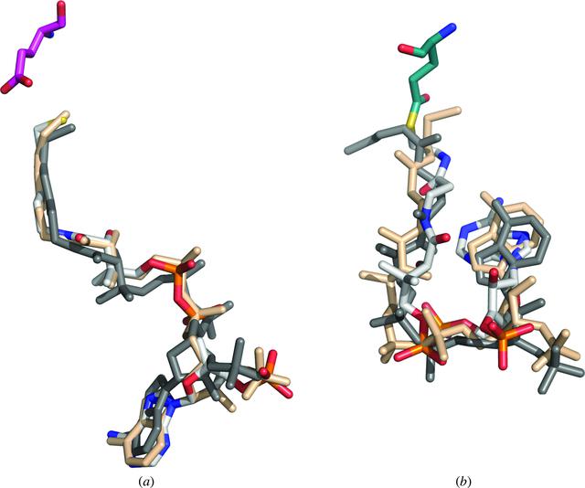 [Figure 8]