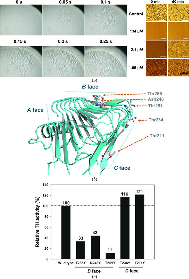 [Figure 6]