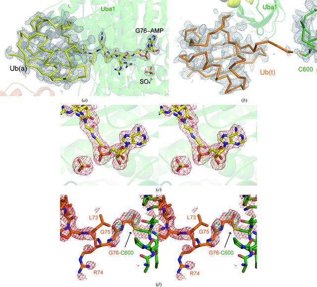[Figure 2]