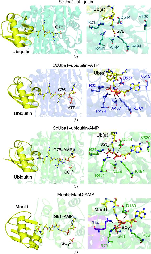[Figure 5]