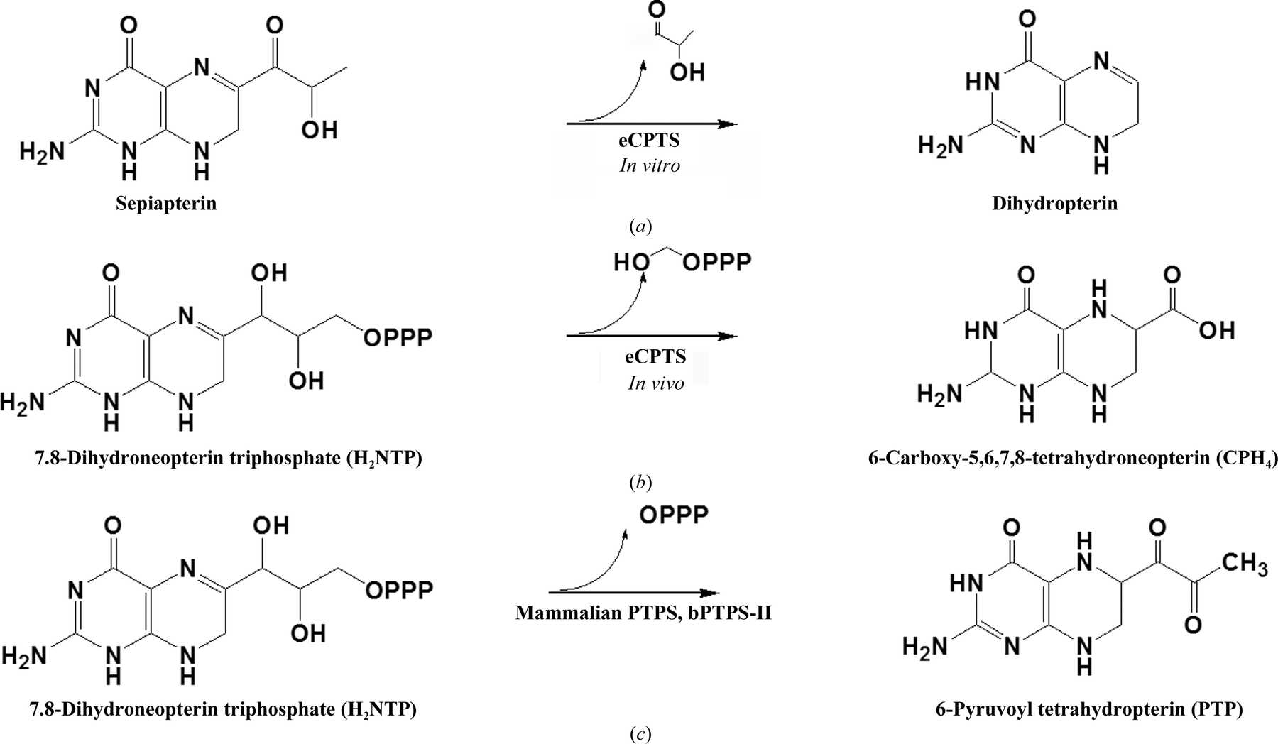 IUCr Structural Basis Of A Novel Activity Of Bacterial 6 iucr-structural-basis-of-a-novel-activity-of-bacterial-6