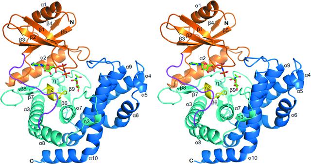 [Figure 2]