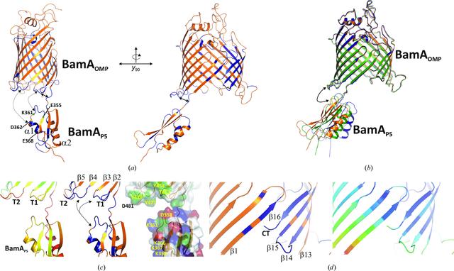 [Figure 2]