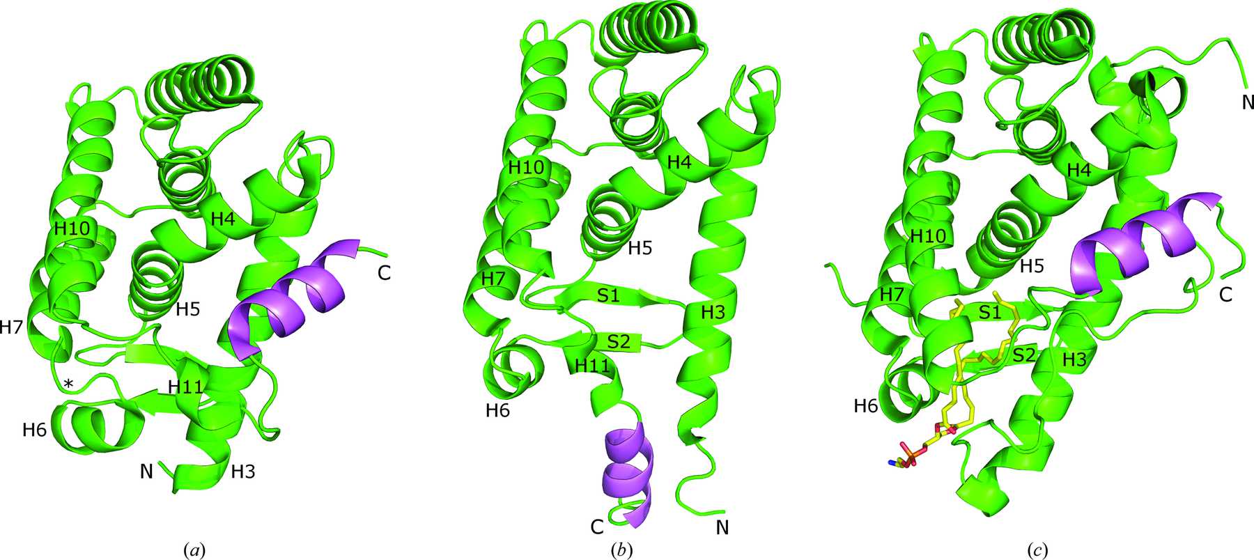 (IUCr) Unprecedented conformational flexibility revealed in the ligand ...
