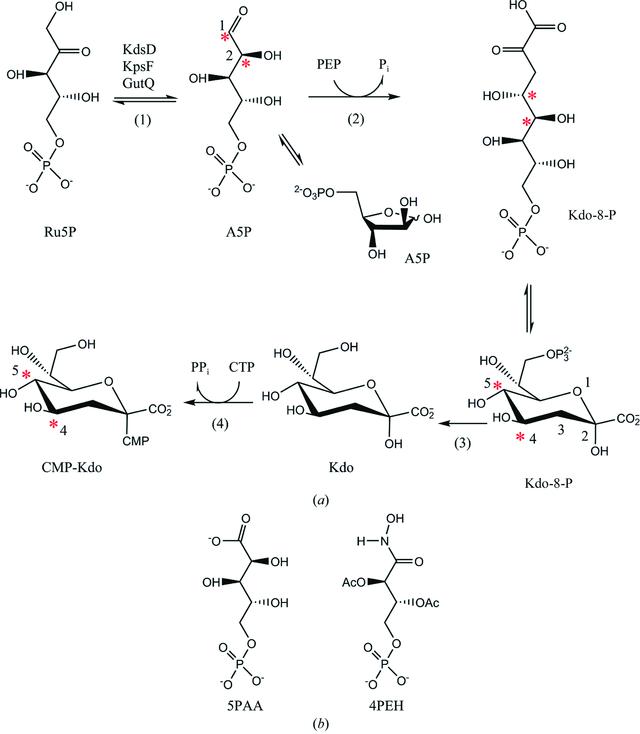 [Figure 1]