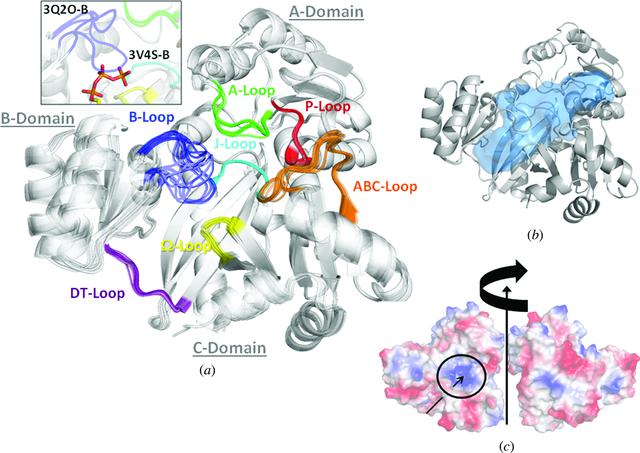 [Figure 1]