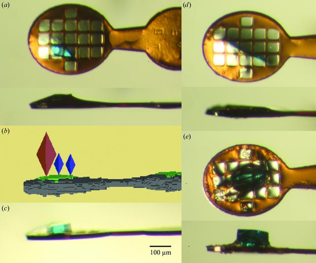 [Figure 4]