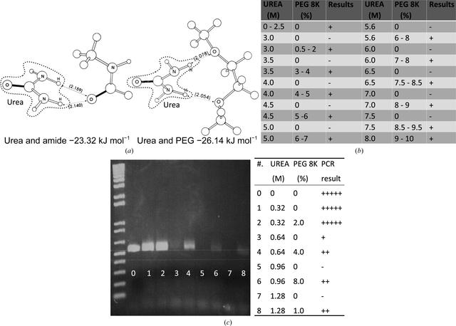 [Figure 4]