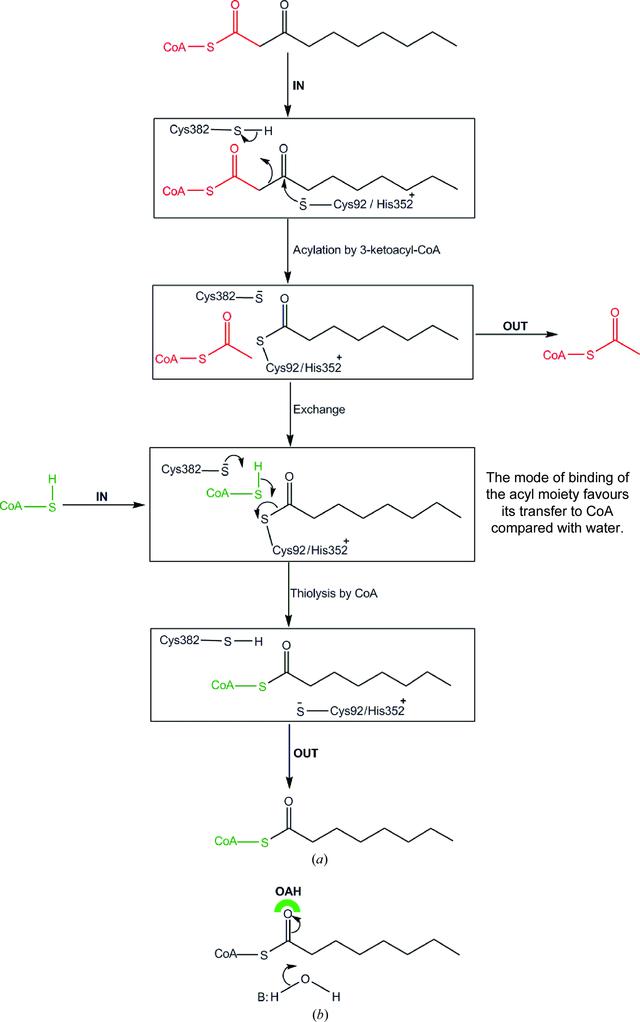 [Figure 1]