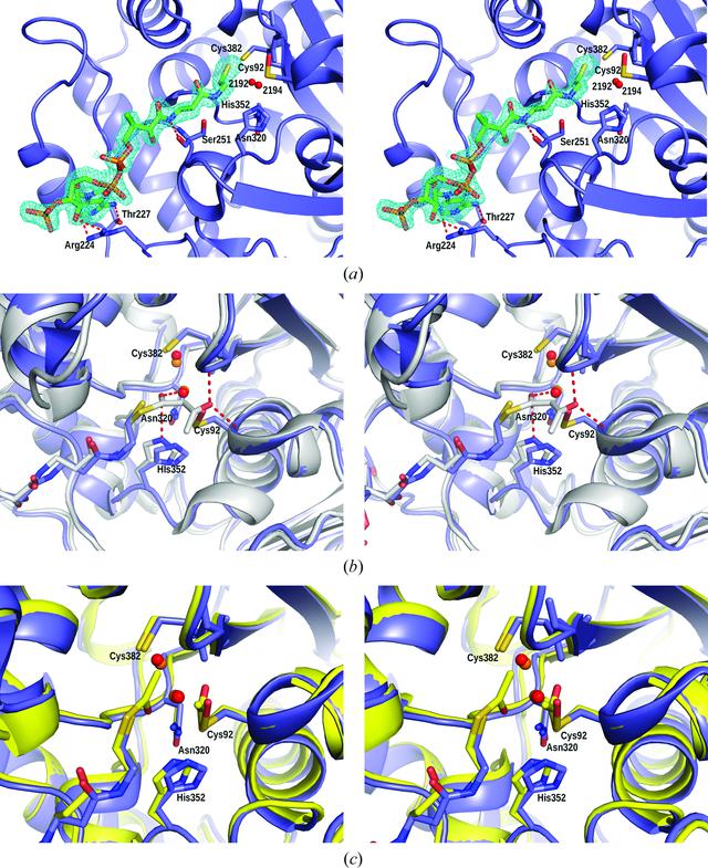 [Figure 4]