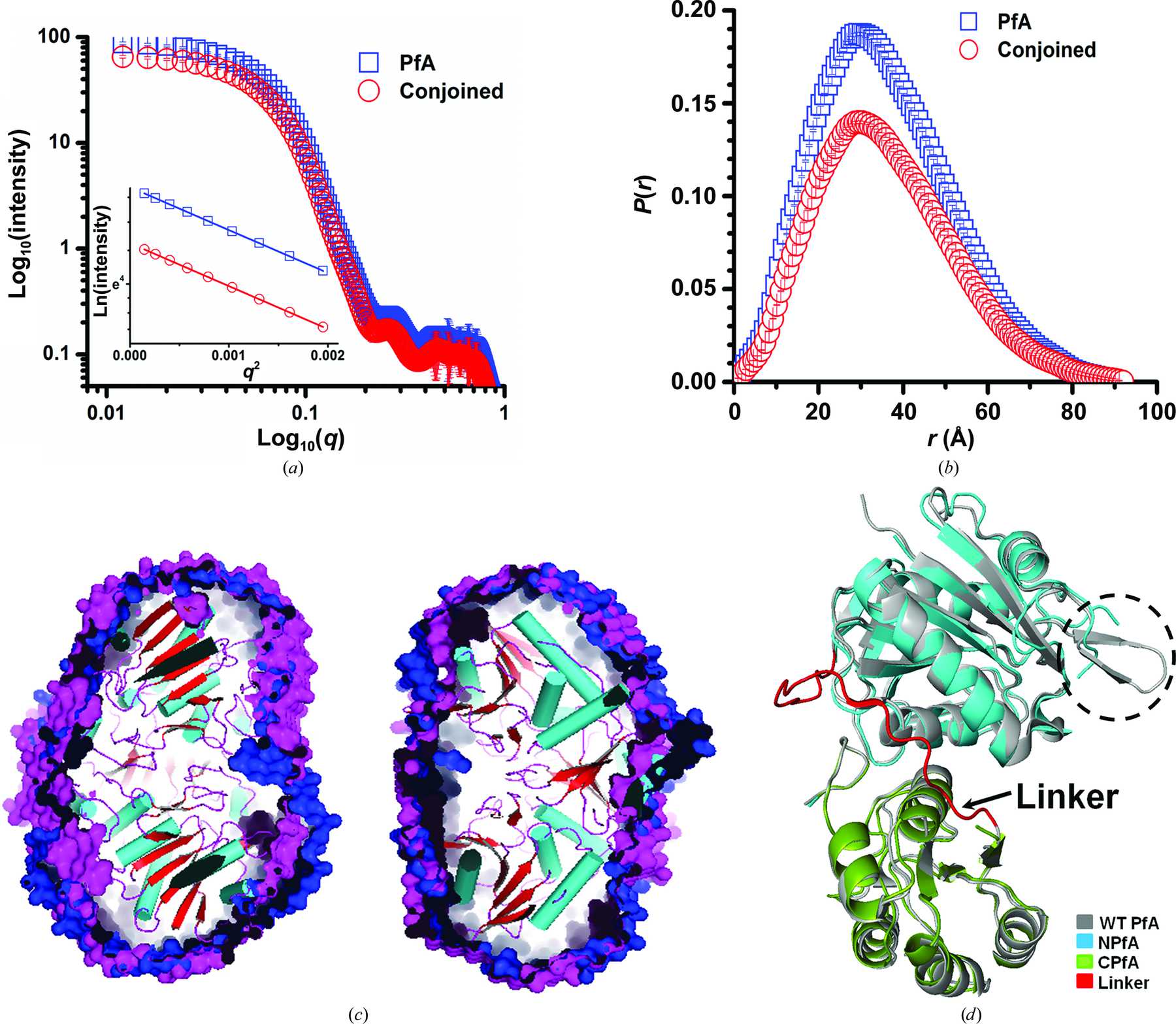 (IUCr) Structural And Functional Insights Into An Archaeal L ...