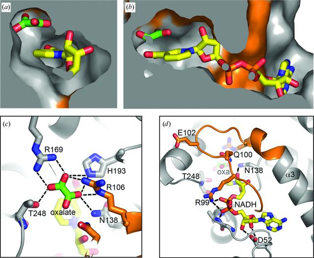 [Figure 3]