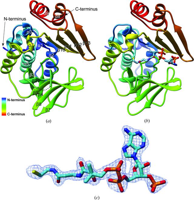 [Figure 1]