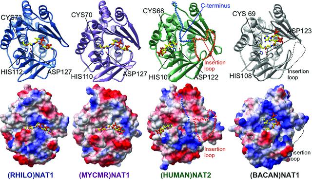 [Figure 3]