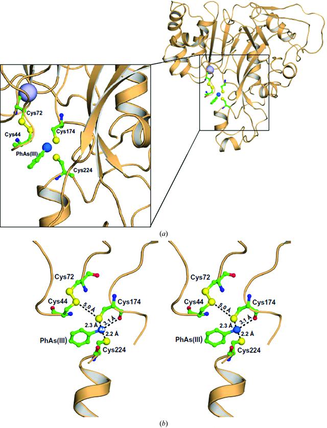 [Figure 1]