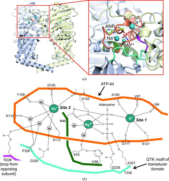 [Figure 1]