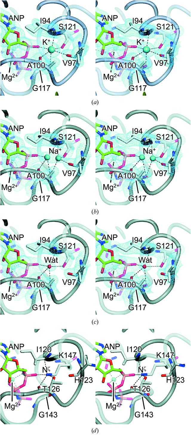 [Figure 2]