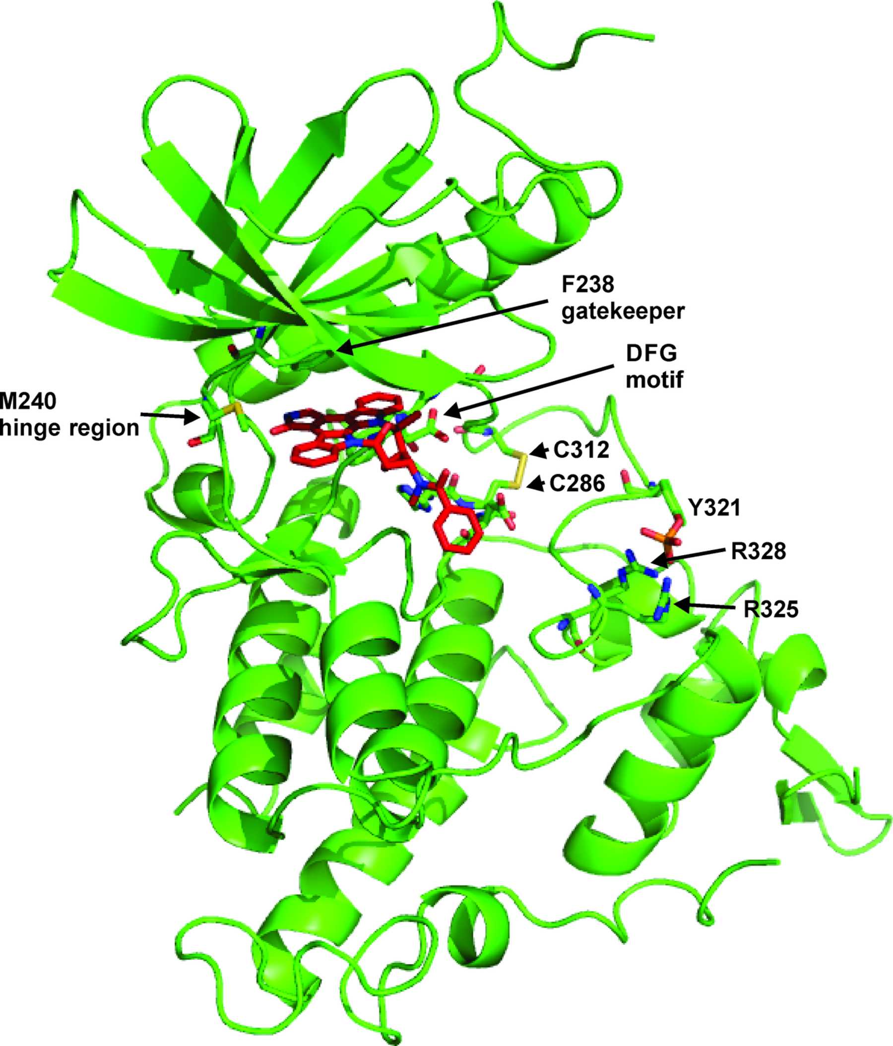 (IUCr) The Structure Of A Dual-specificity Tyrosine Phosphorylation ...