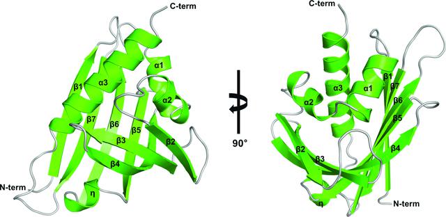 [Figure 1]