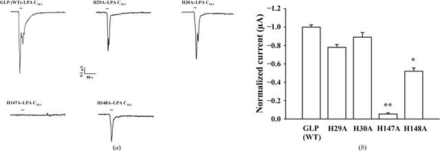 [Figure 7]