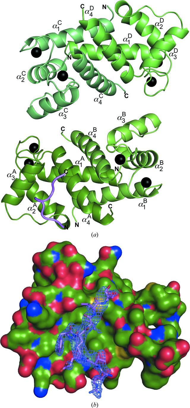 [Figure 1]