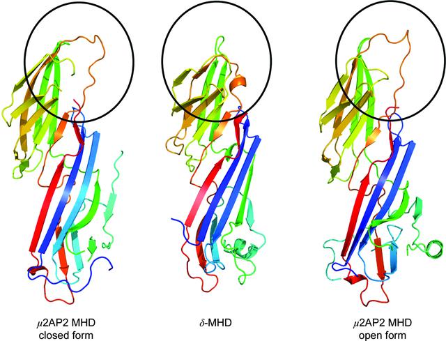 [Figure 4]
