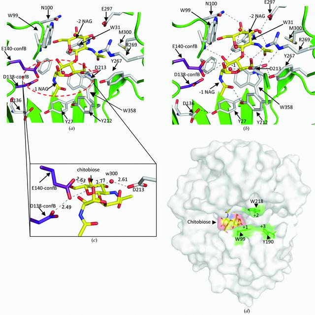 [Figure 5]