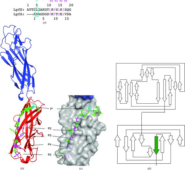 [Figure 4]