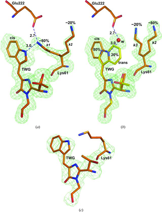[Figure 5]