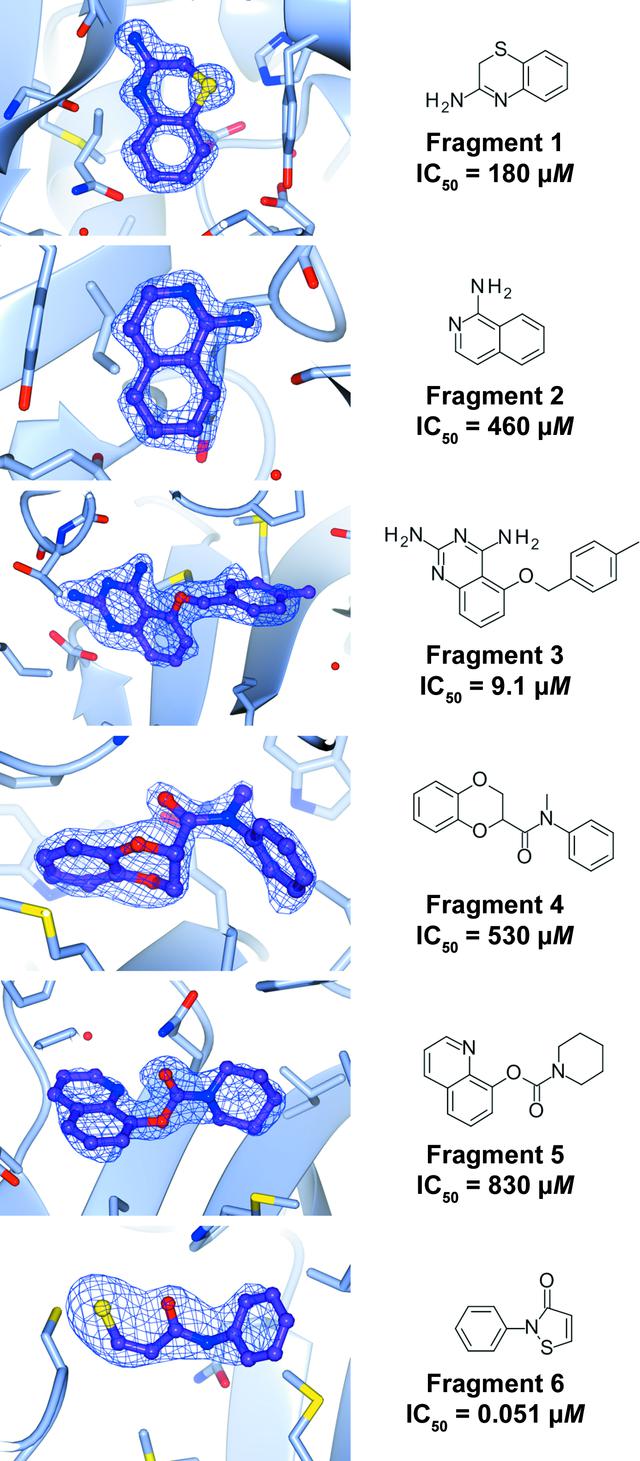 (IUCr) Structural insights into the novel inhibition mechanism of ...