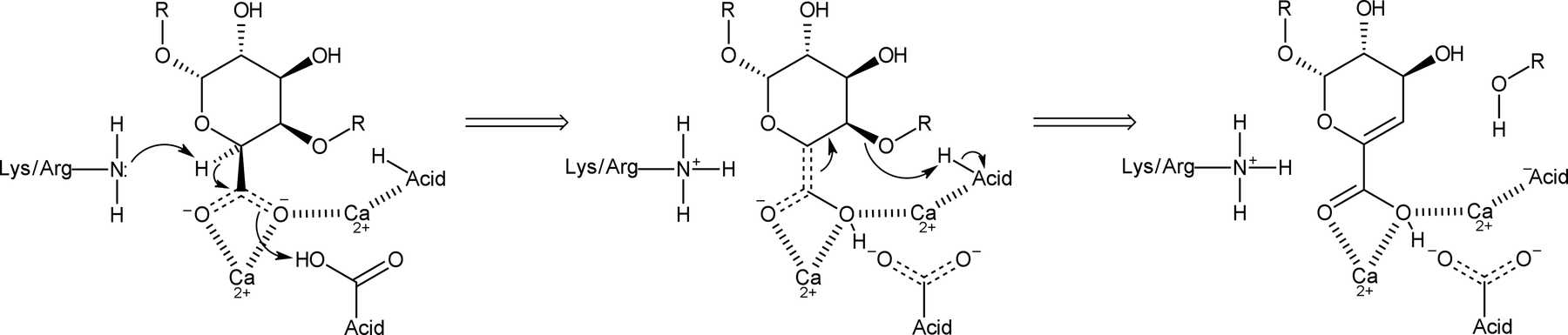 (IUCr) The catalytic mechanism and unique low pH optimum of ...