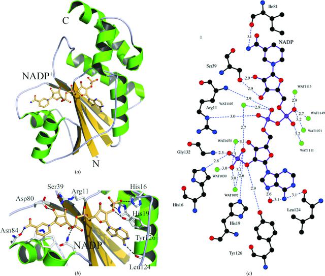 [Figure 3]