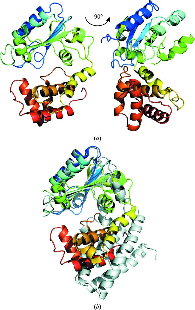 [Figure 2]