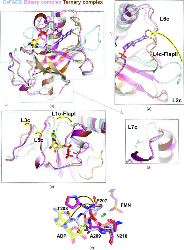 [Figure 2]