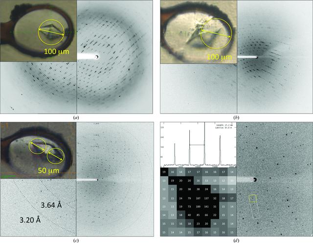 [Figure 1]