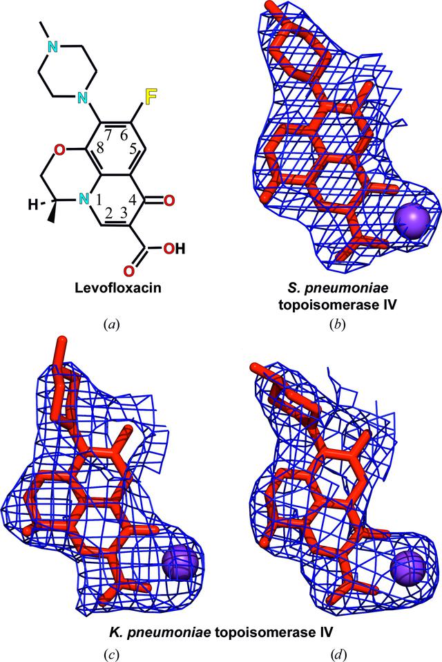 [Figure 2]