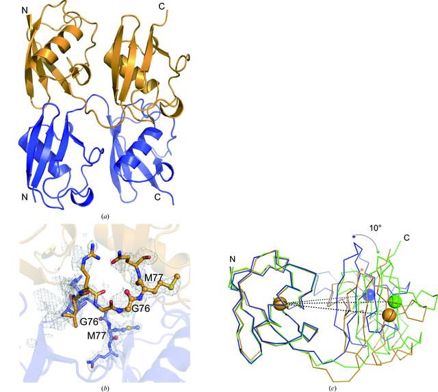 [Figure 1]