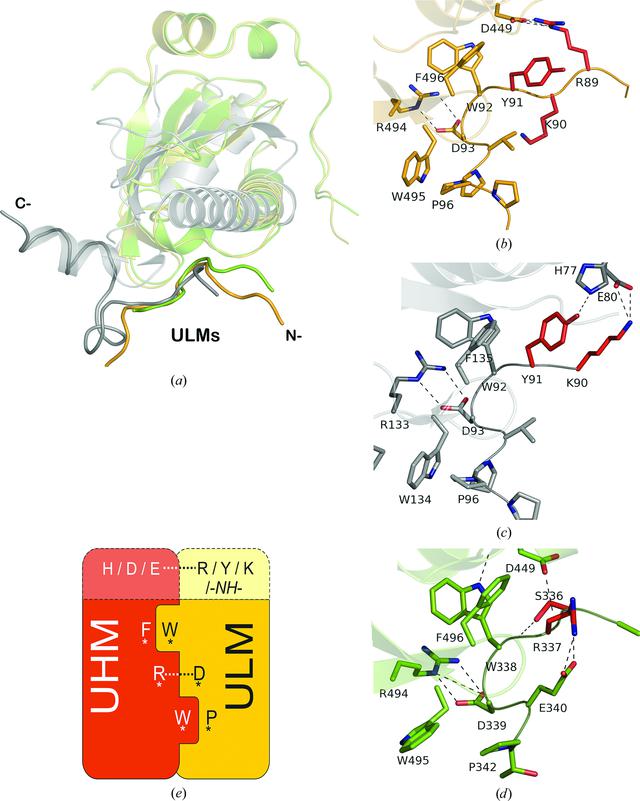 [Figure 7]