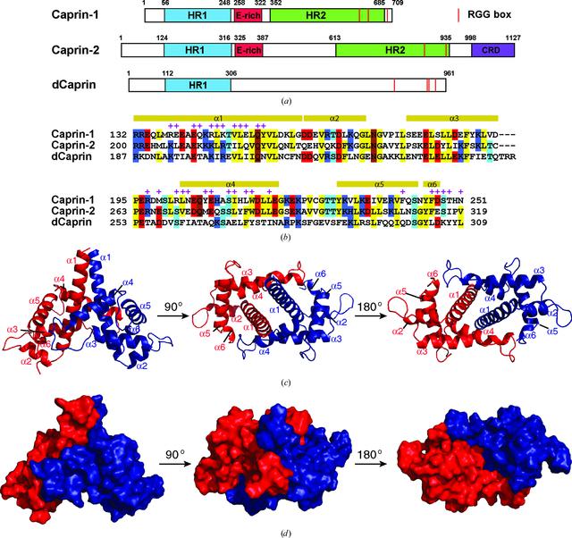 [Figure 1]