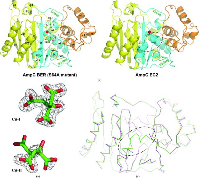 [Figure 1]