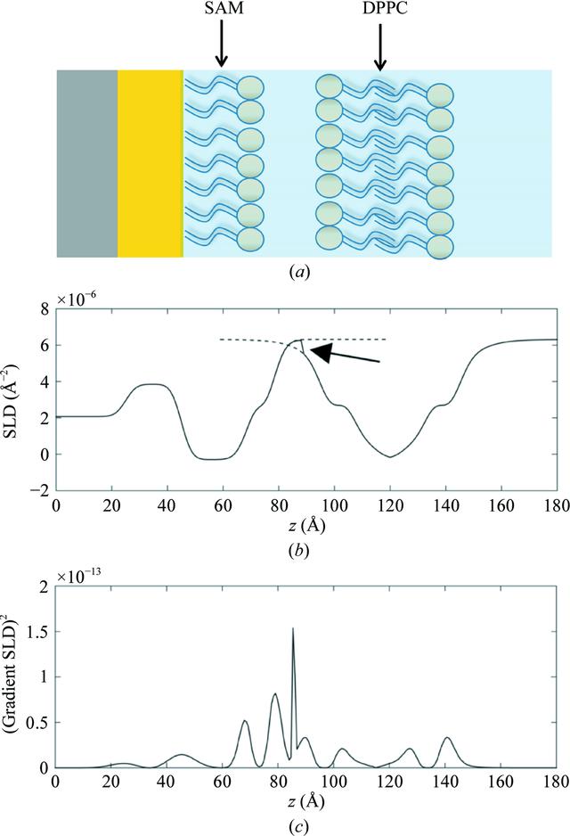 [Figure 2]